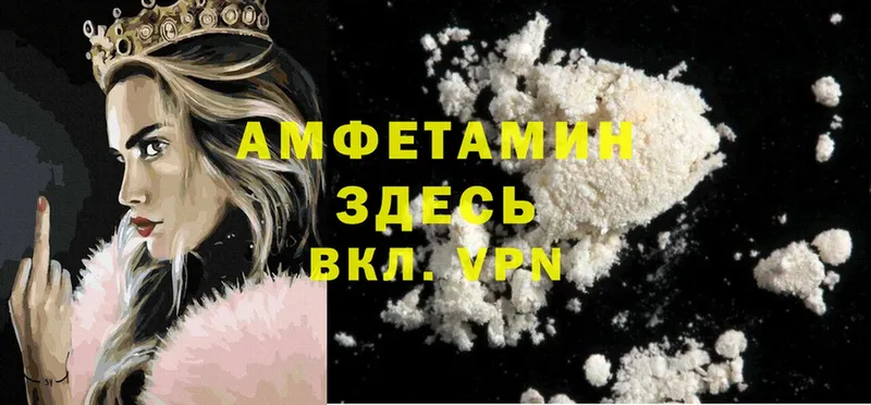 наркота  Каменногорск  Amphetamine VHQ 