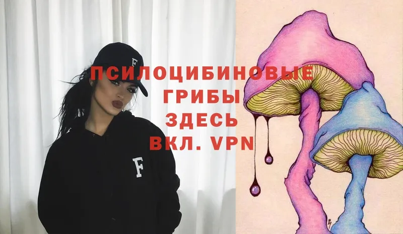 Галлюциногенные грибы MAGIC MUSHROOMS  МЕГА tor  Каменногорск  даркнет сайт 