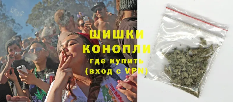 Шишки марихуана White Widow  где можно купить   Каменногорск 